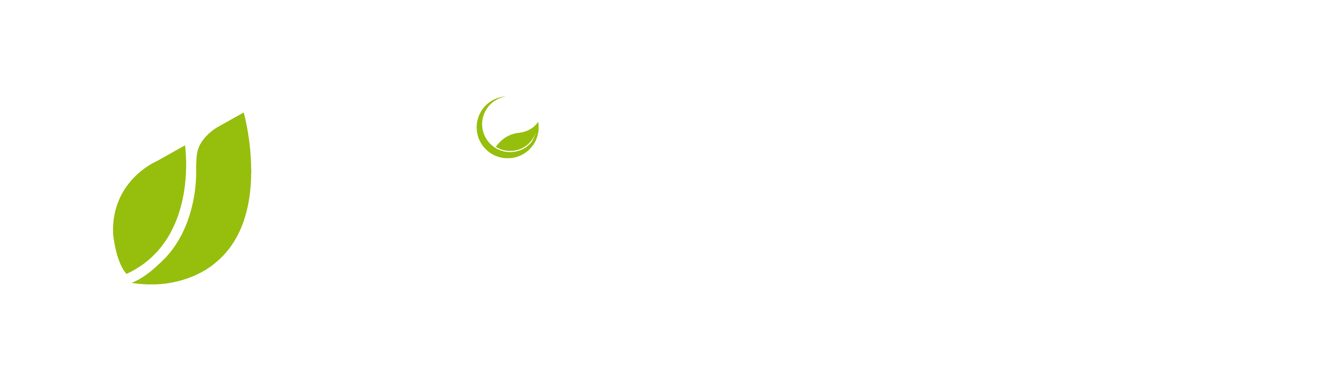 DEZ Systems México